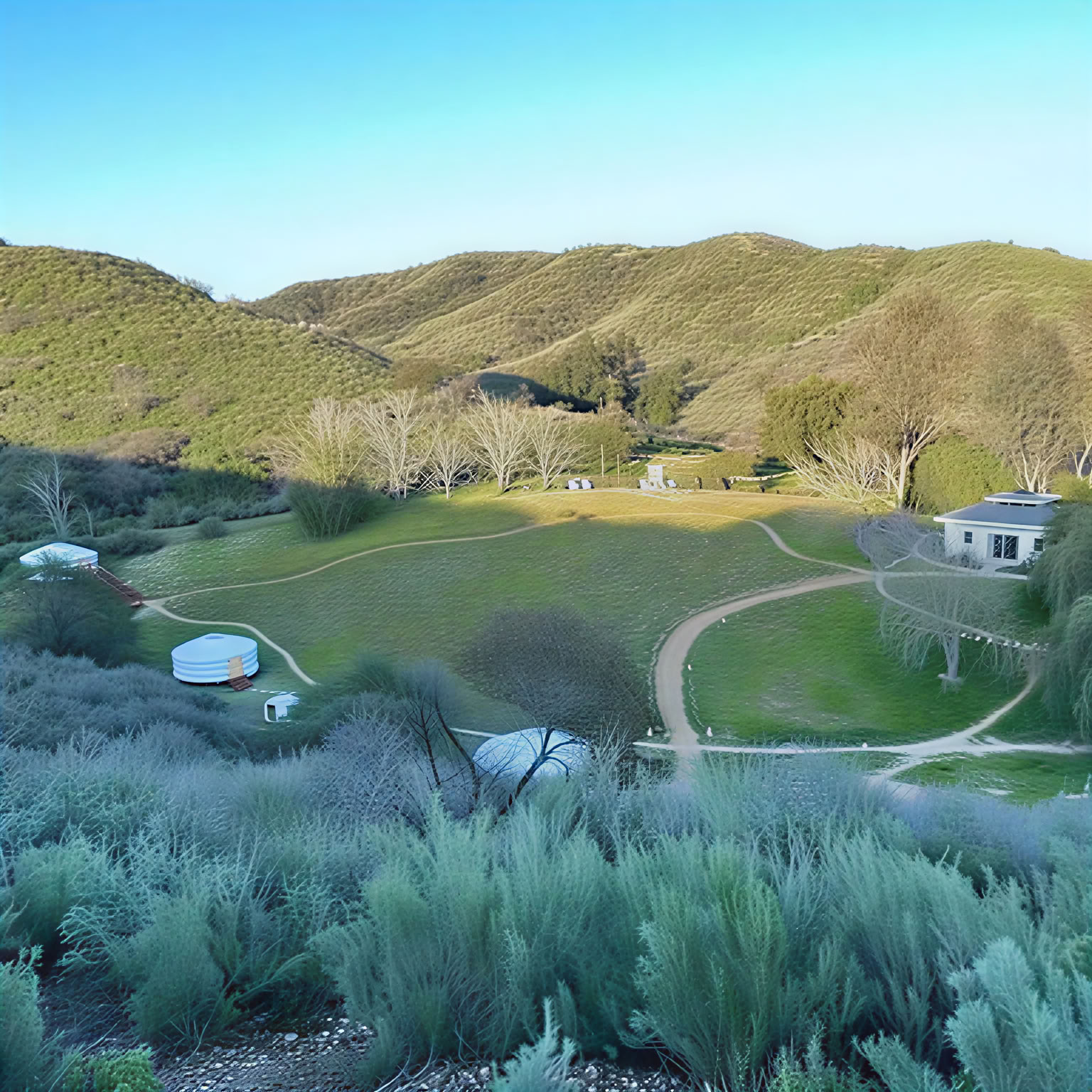 Sowa Rigpa Foundations — Pure Land Farms
