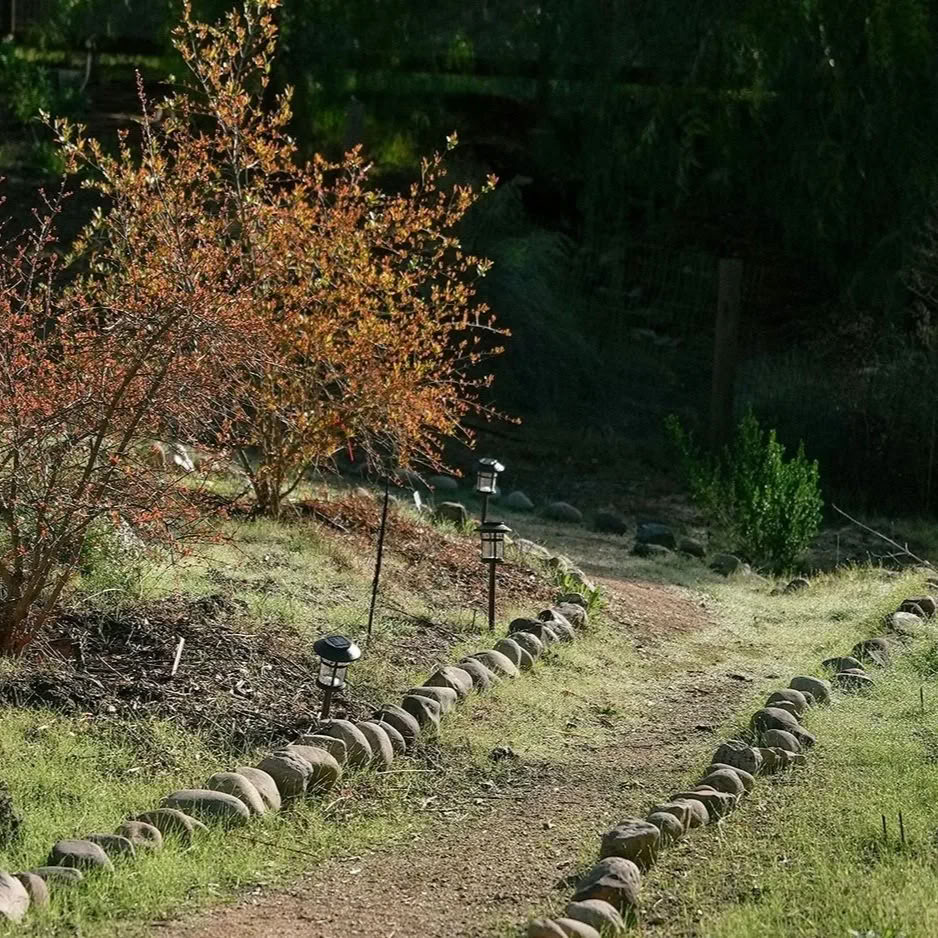 Sowa Rigpa Foundations — Pure Land Farms