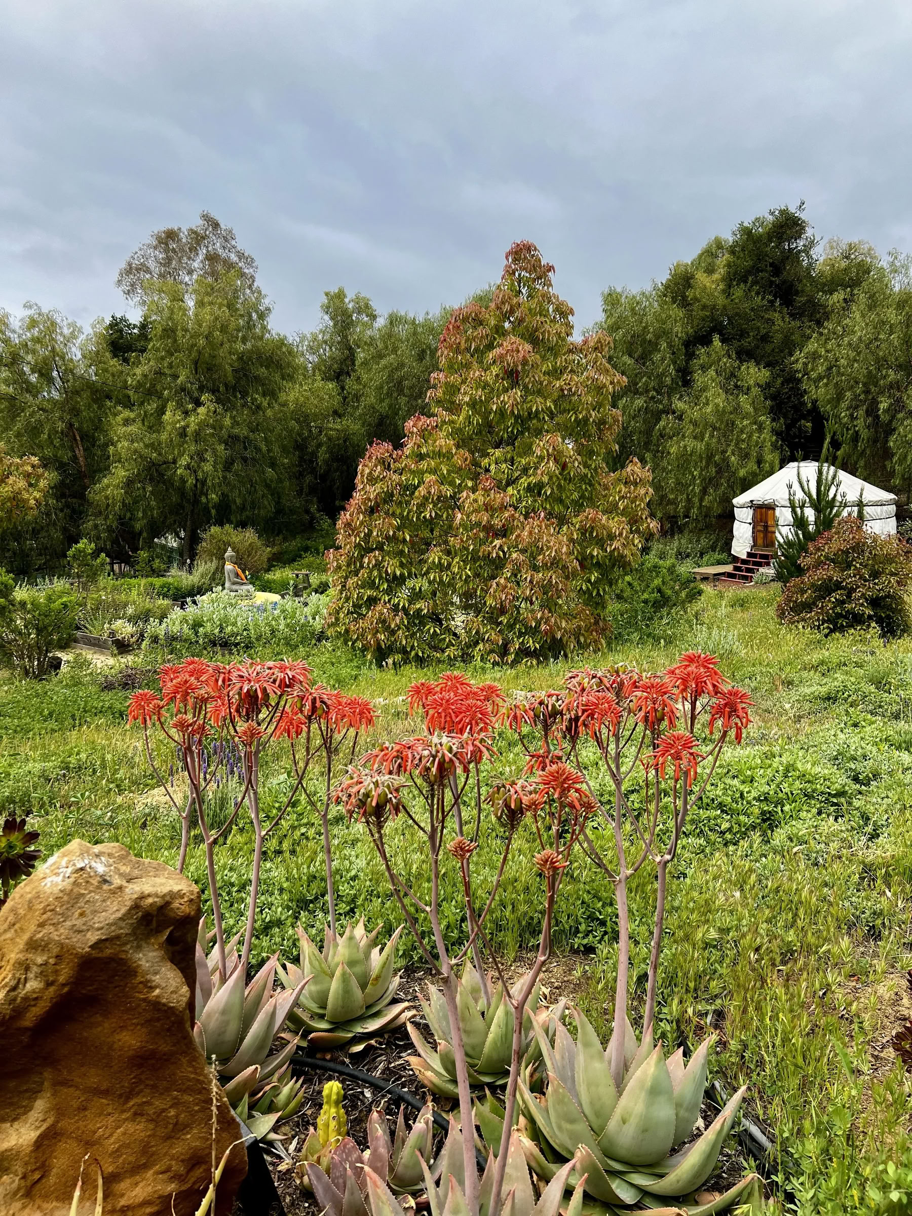 Tanaduk Garden Day — Pure Land Farms
