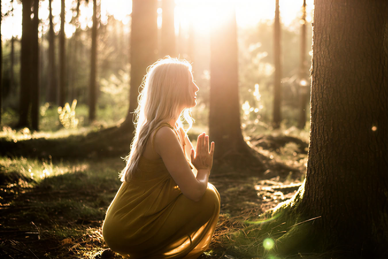 6 jours : Médecine des plantes et éveil de la forêt lunaire. Reprenez votre enfant intérieur dans les contrées sauvages de Bulgarie.