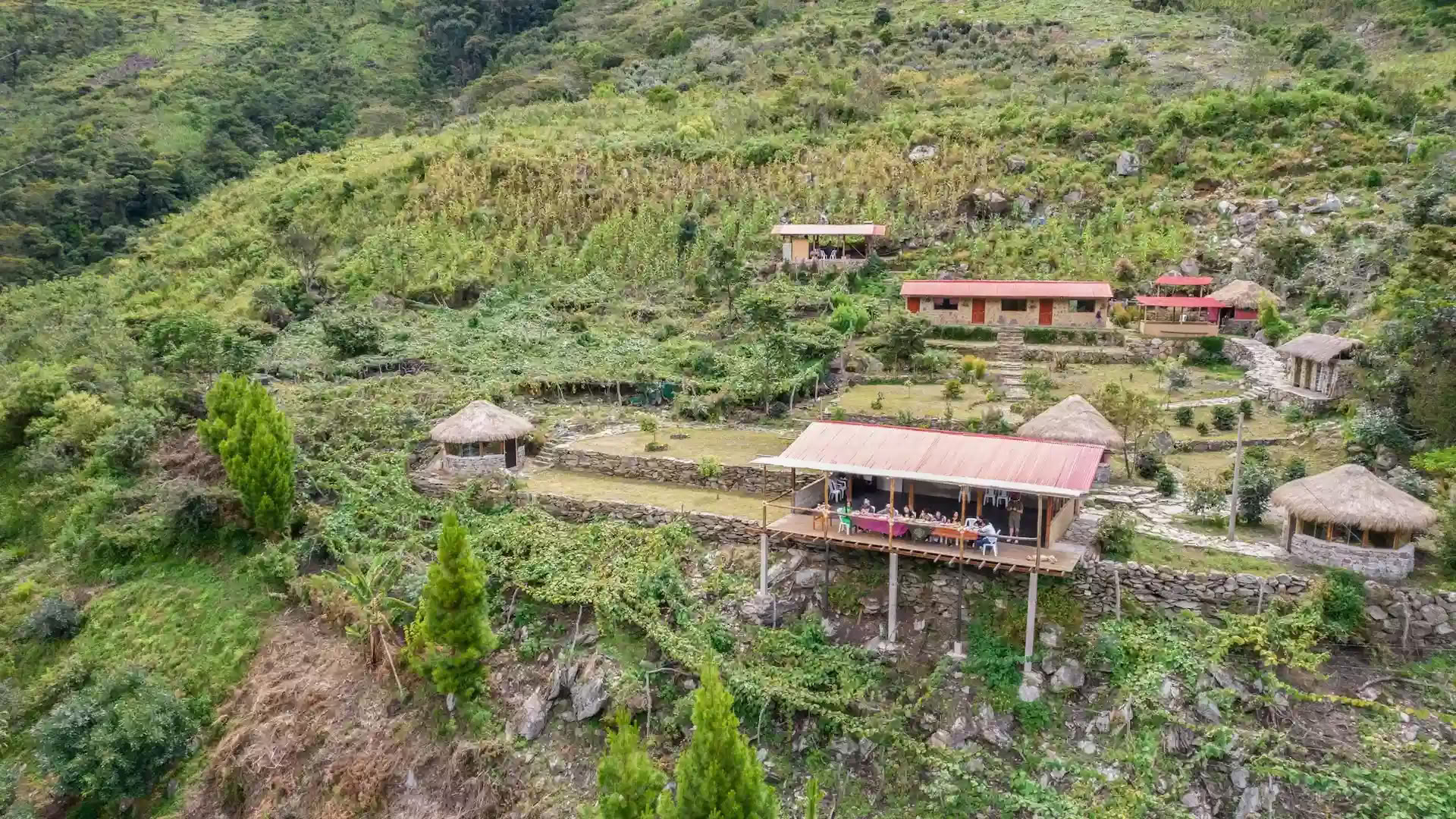 Retraite d'Ayahuasca de 7 jours + Machu Picchu classique