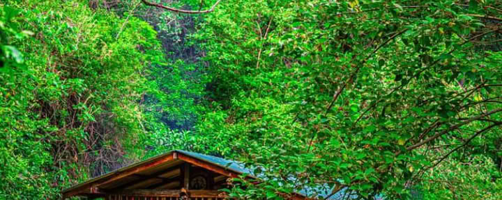 Cérémonie traditionnelle d’Ayahuasca