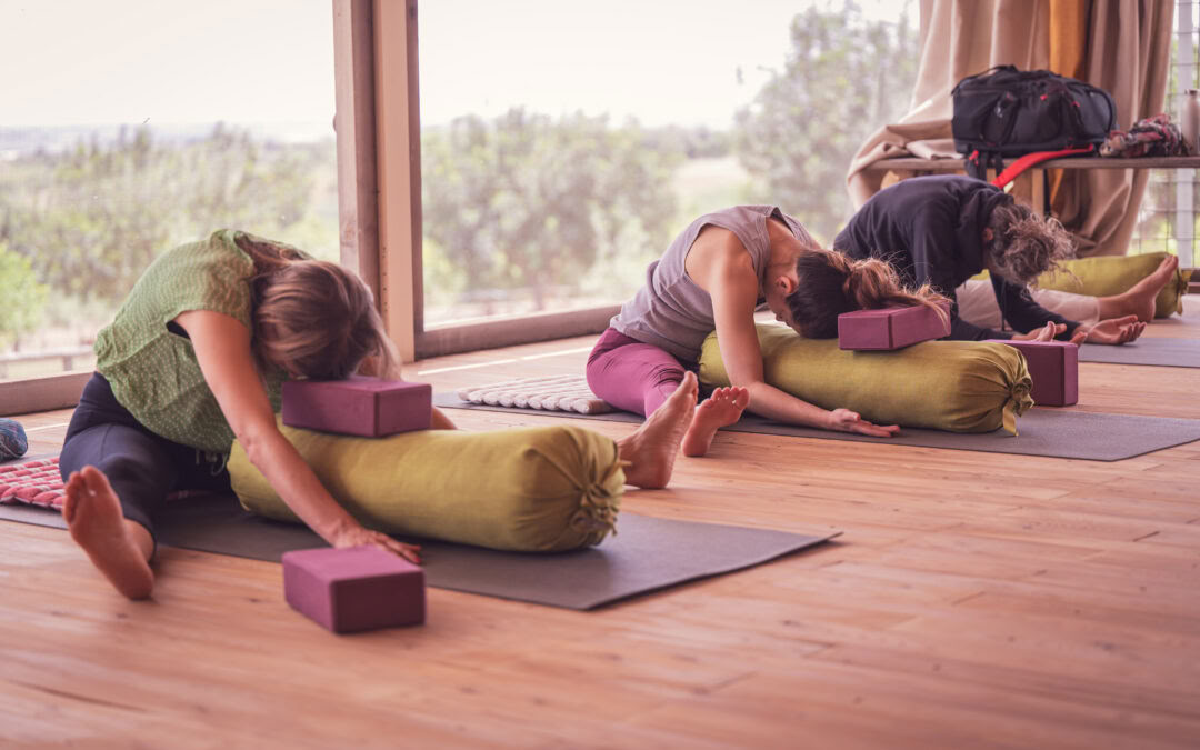 Magic Retraite - 27-30 June 2026 - only for yoga teachers -