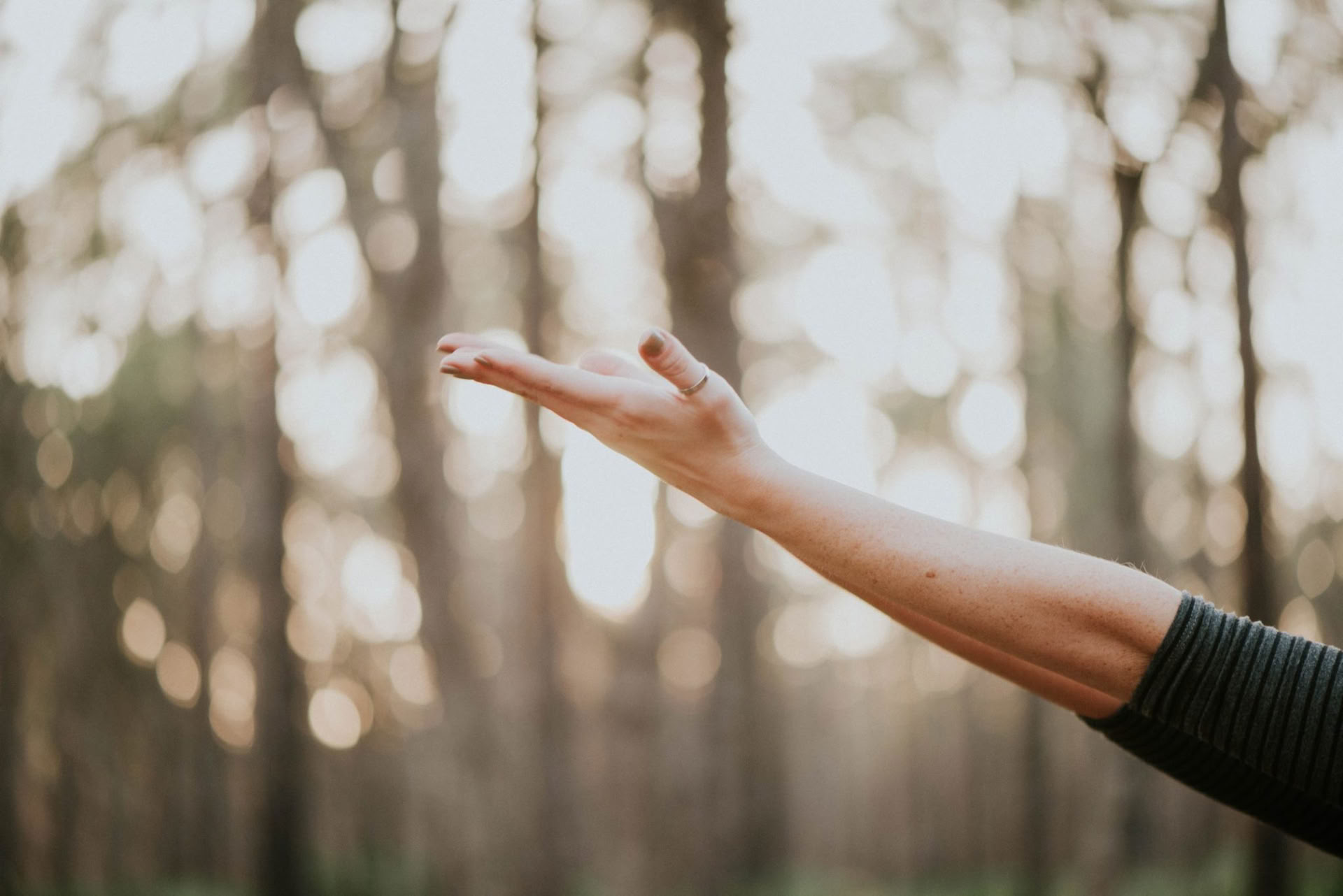 Wellness Within: week-end de retraite de mouvement en pleine conscience et de méditation