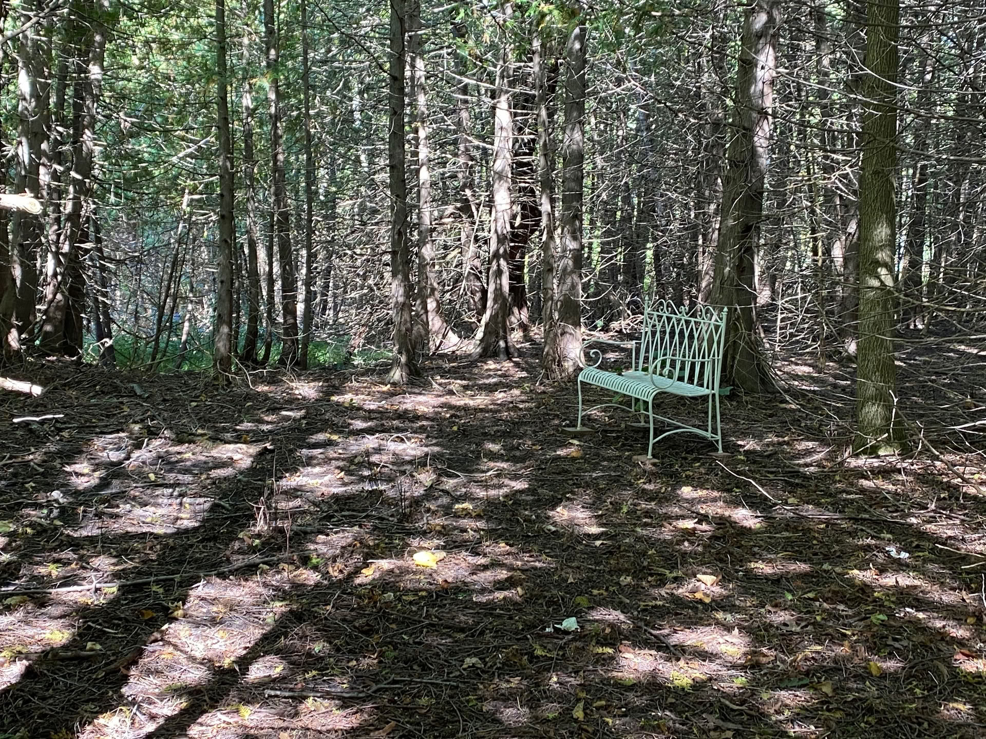 Méditation de pleine conscience : une introduction