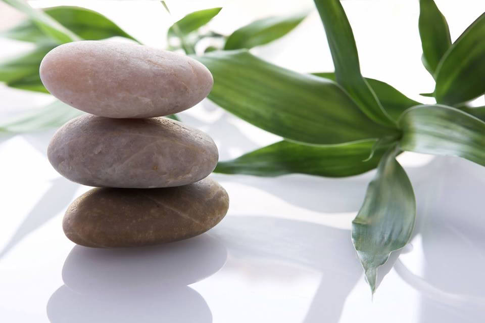 Mindfulness Meditation : Une journée de silence avec Liz
