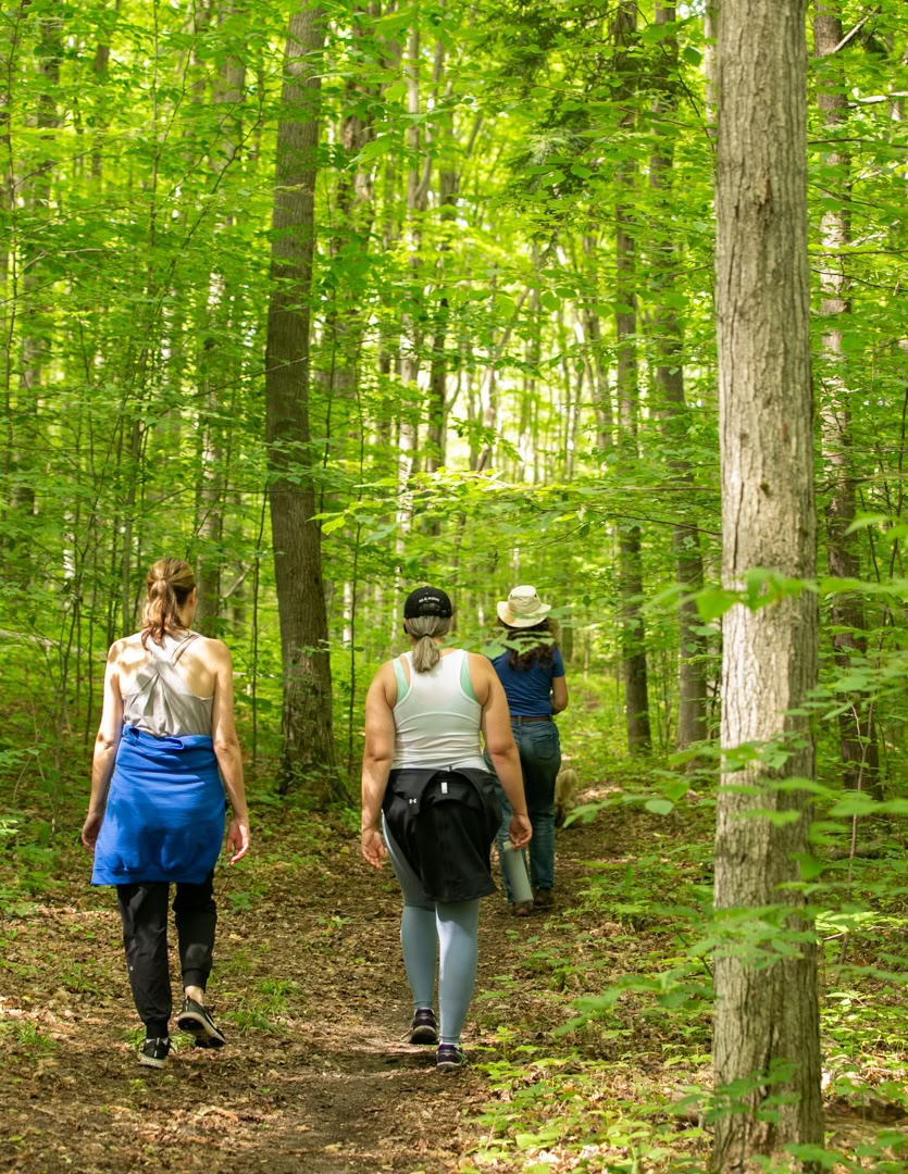 Pilates, Yoga, Nature et Vous : une retraite de week-end
