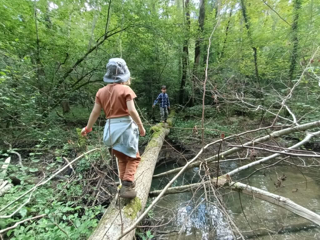 À propos des Hobbits, des Elfes, des Nains, des Humains et des Magiciens : semaine des enfants avec Richard