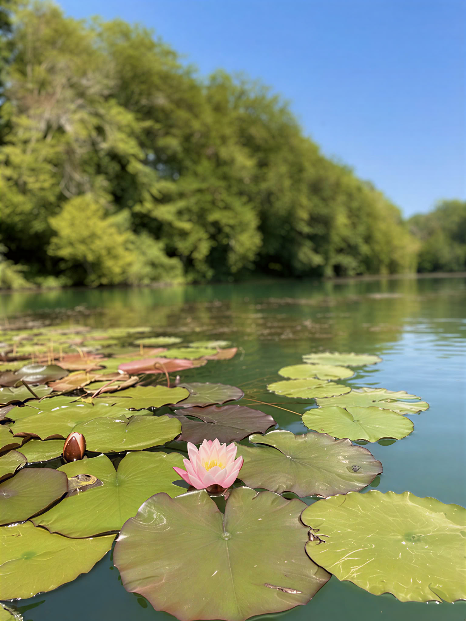 Yoga et méditation en marchant