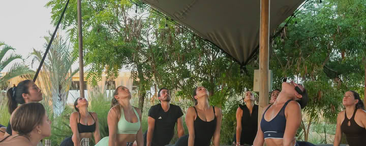 Cours de yoga