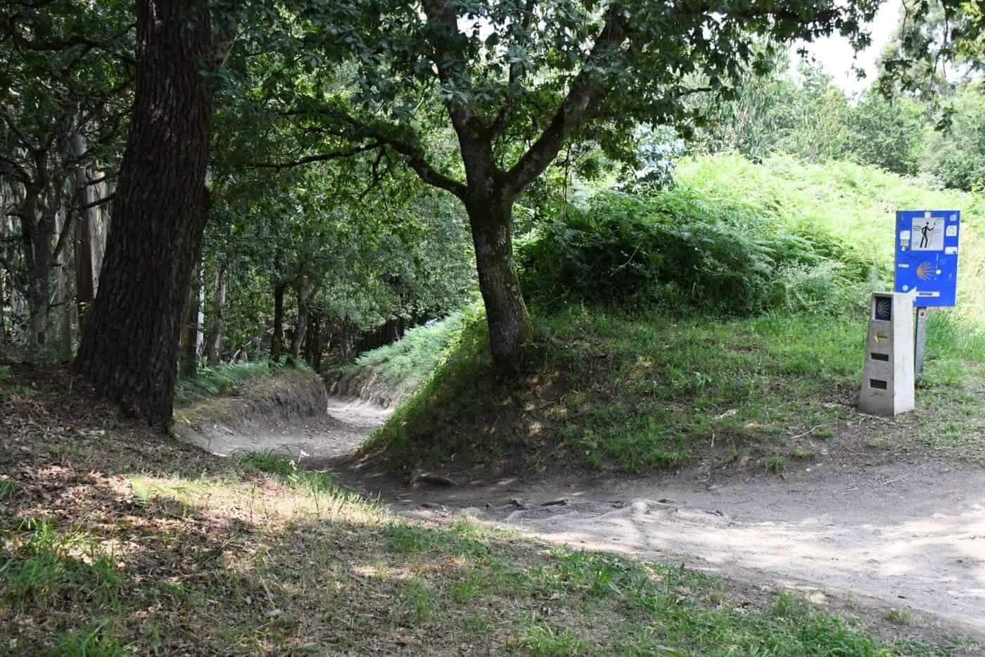Camino portugais de Saint-Jacques depuis Tui en 5 étapes, classe confort