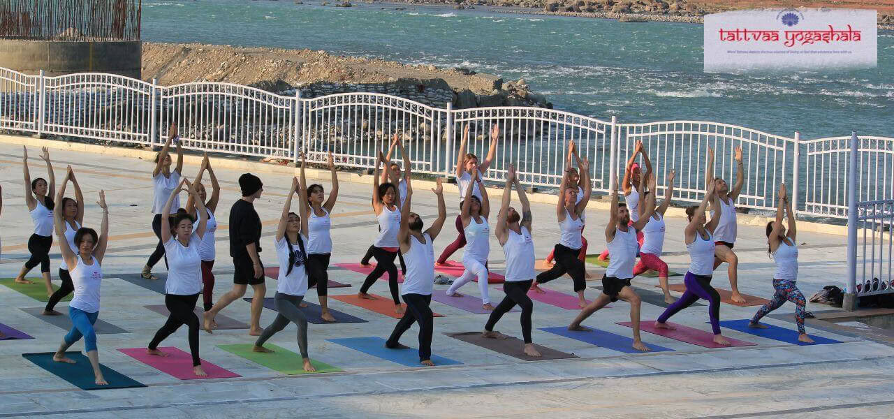Multi Style Yoga TTC