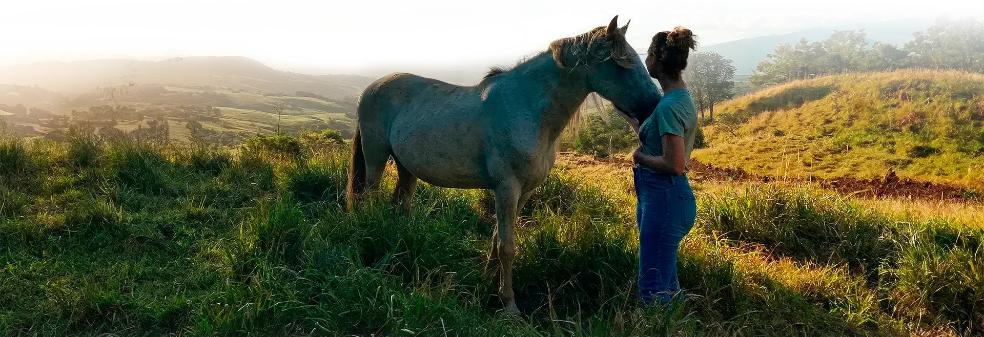 Balade à cheval sur la plage