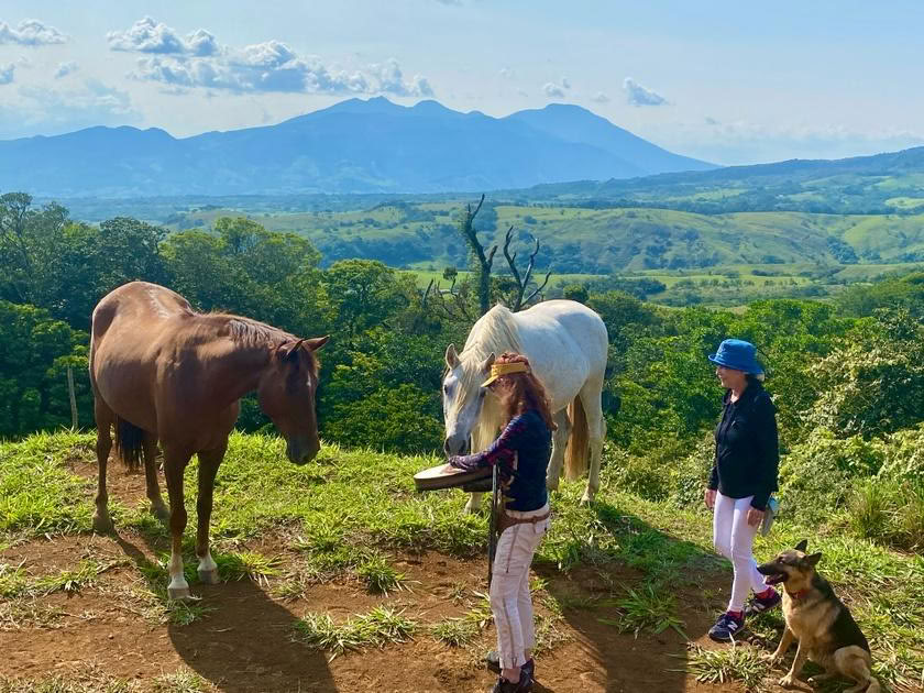 Constellations avec les chevaux au Costa Rica 2026