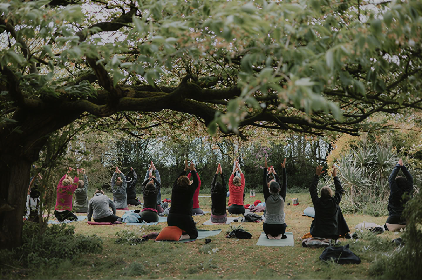Yoga Yin Yang avec Molly