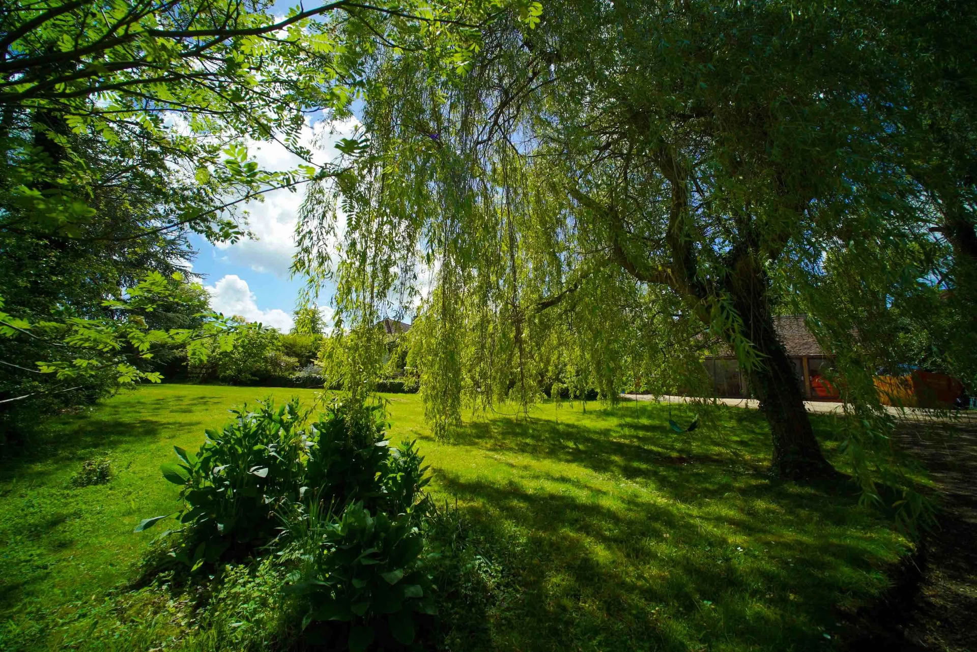Retraite de jeûne aux jus et de yoga, Cotswolds, Oxfordshire