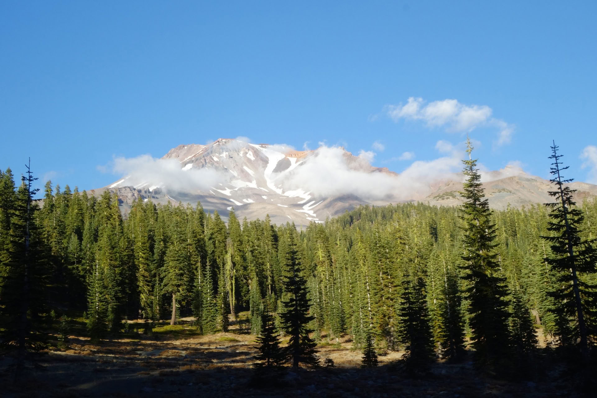 Summer Solstice Tour - Voyage sacré au mont Shasta