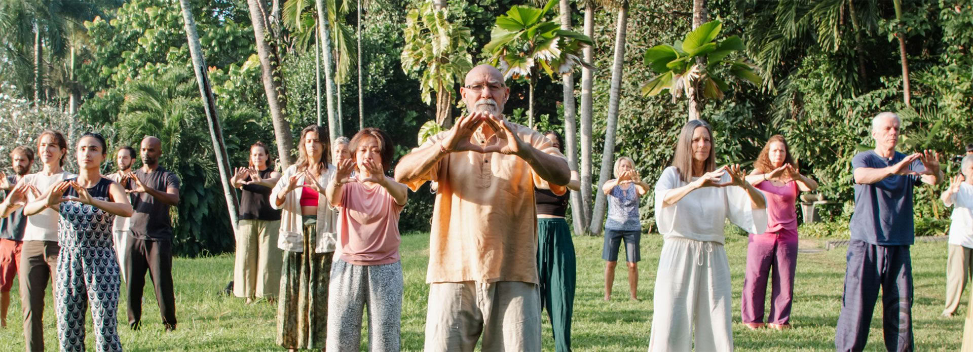 Formation de professeur de Qigong Niveau 1 Forest Rock