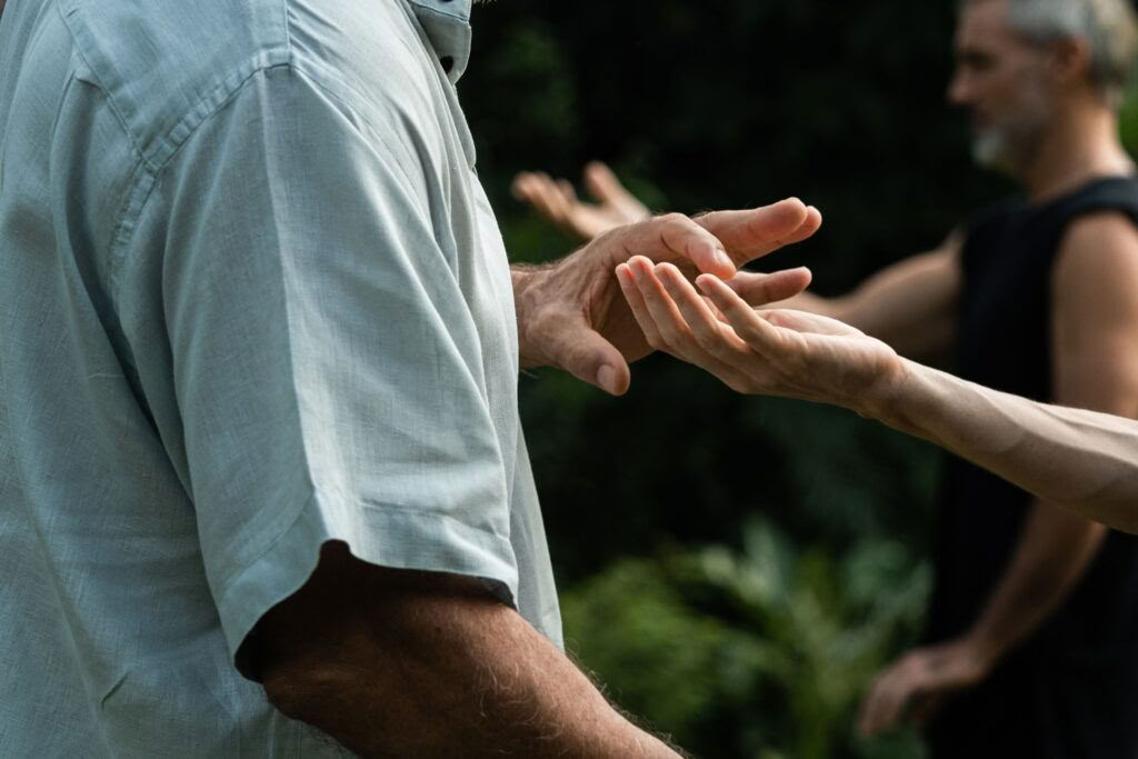 Formation de professeur de Qigong Niveau 1 Forest Rock