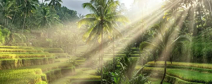 Ubud, Bali