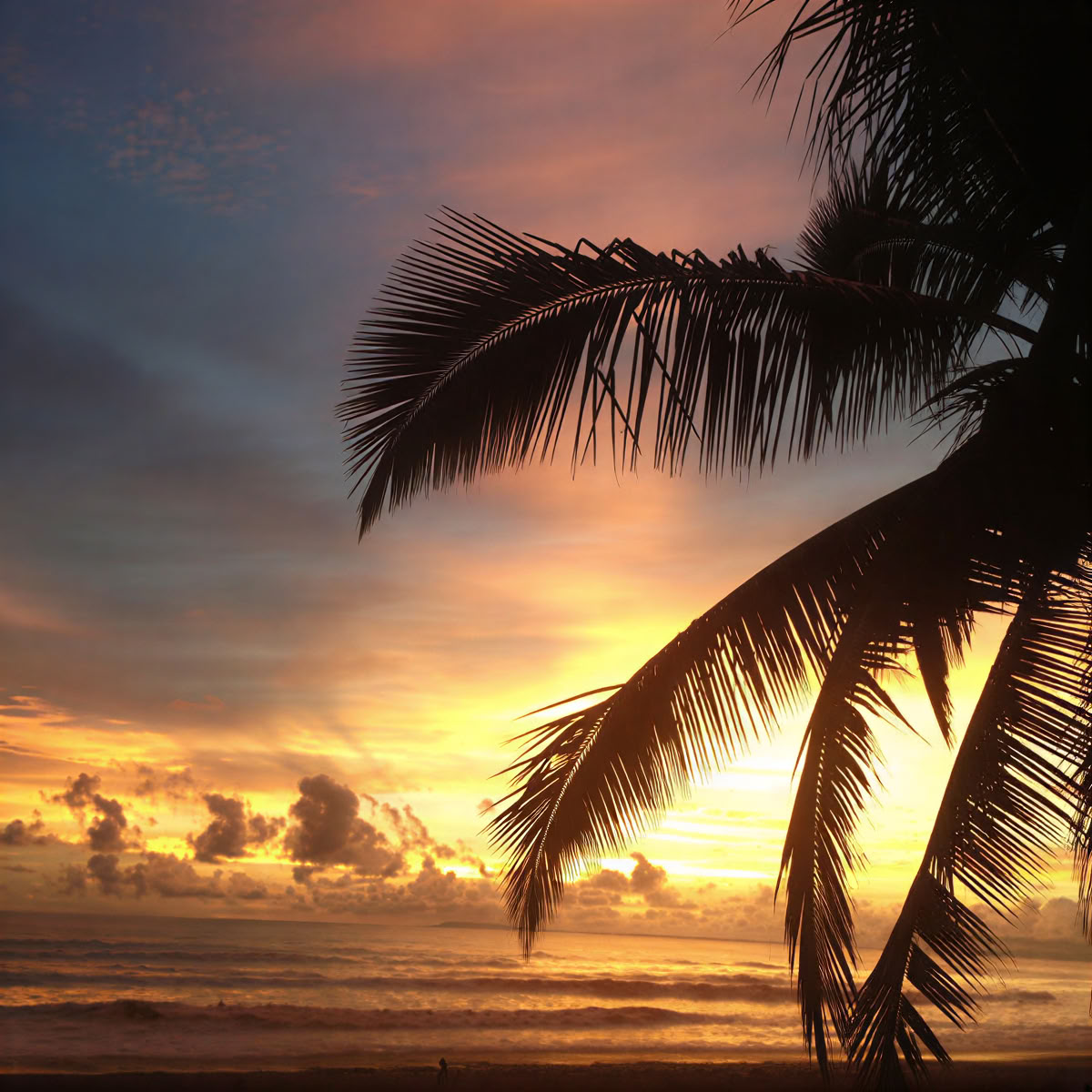 Retraite Jaco Beach Costa Rica
