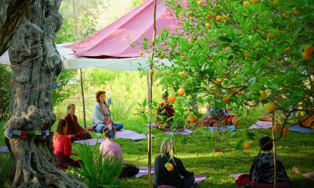 Back to the Source Yoga & Méditation Retraite