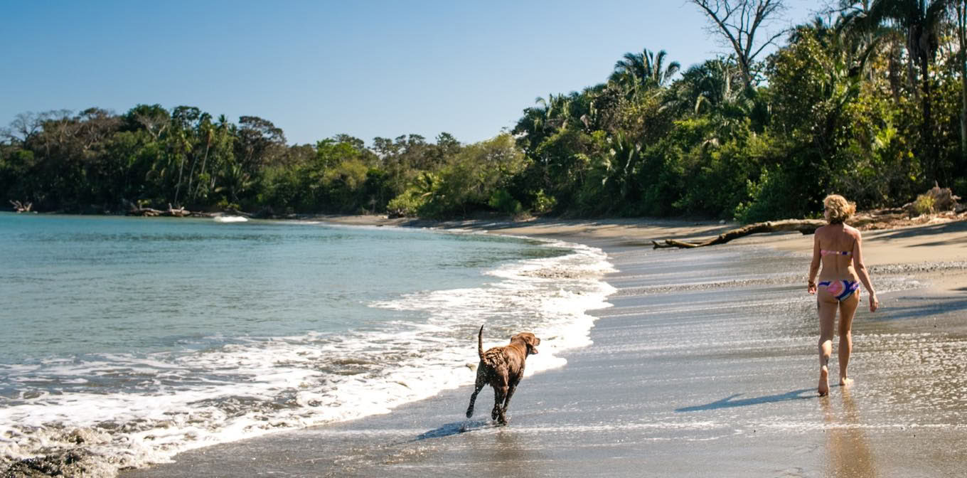 Re-Wilding : Une retraite pour femmes au Costa Rica avec Shelia