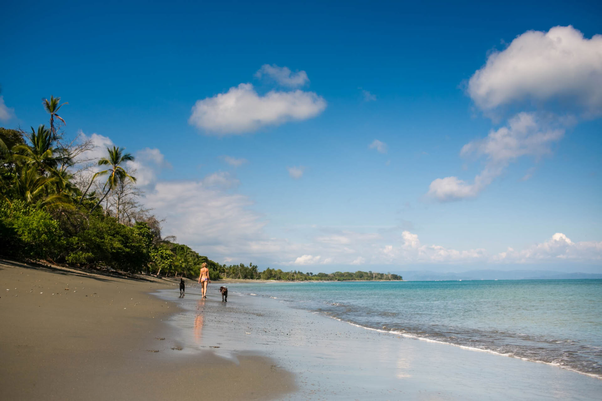 Soft Wisdom : retraite de yoga et de méditation au Costa Rica en 2027