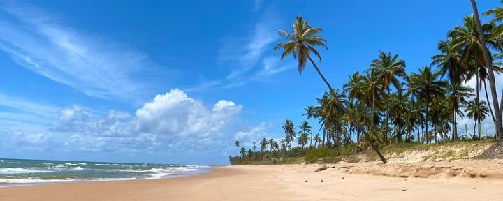 Circuit de la côte nord, Côte des cocotiers
