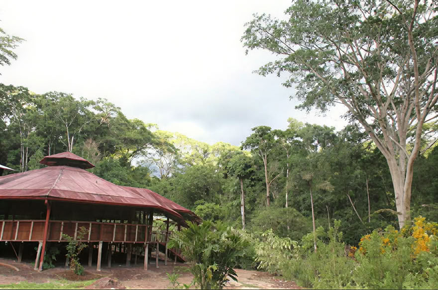 Retraite de week-end Ayahuasca