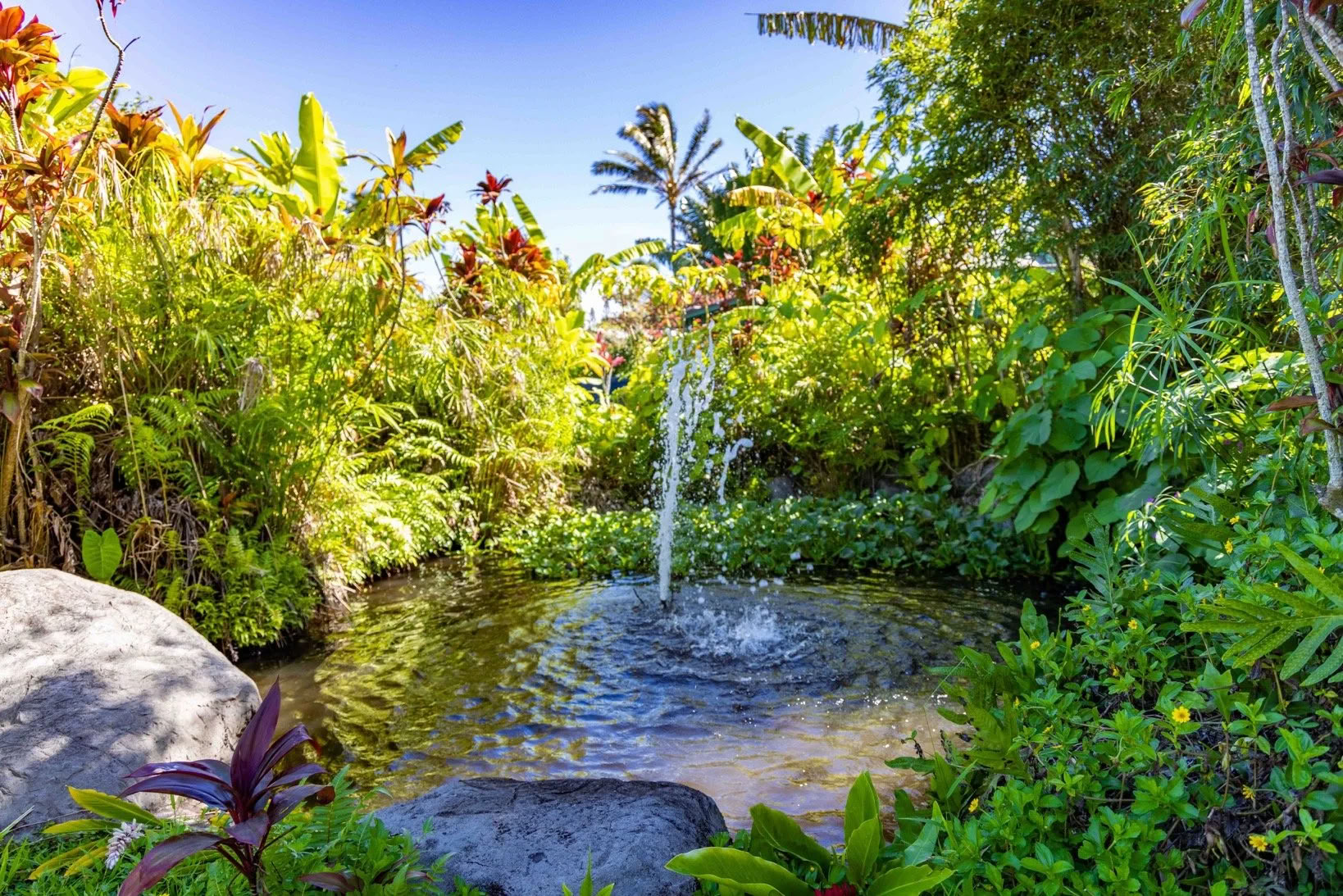 Get Your Sh*t Together Retraite - Maui