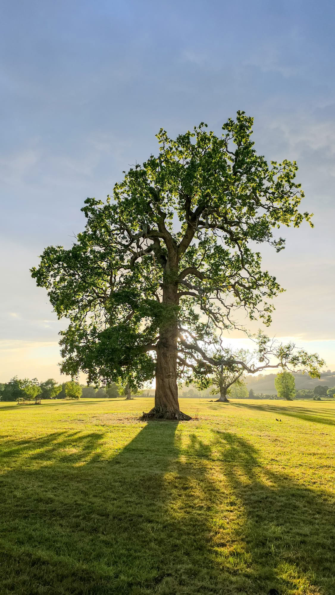 Retraite de méditation Vipassana Insight – 31 août – 6 sept.