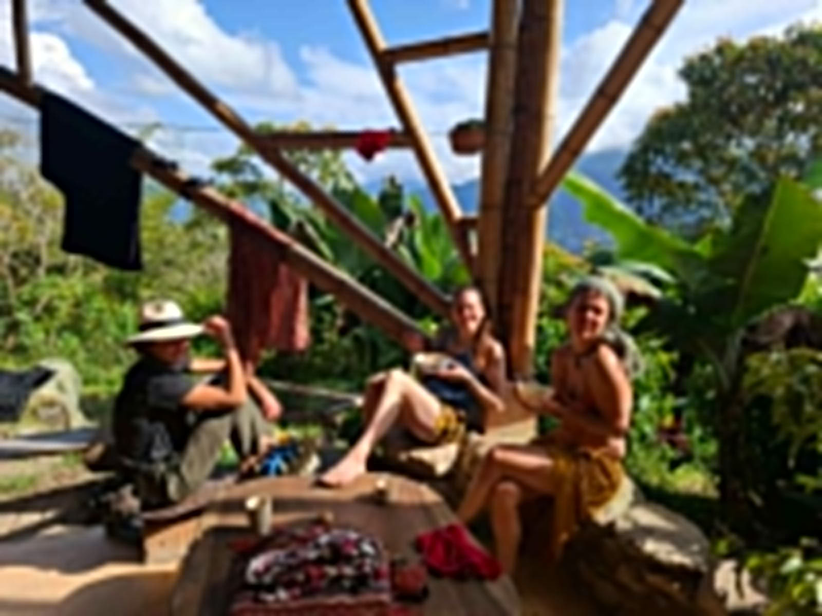 Ayahuasca & Voyage Somatique