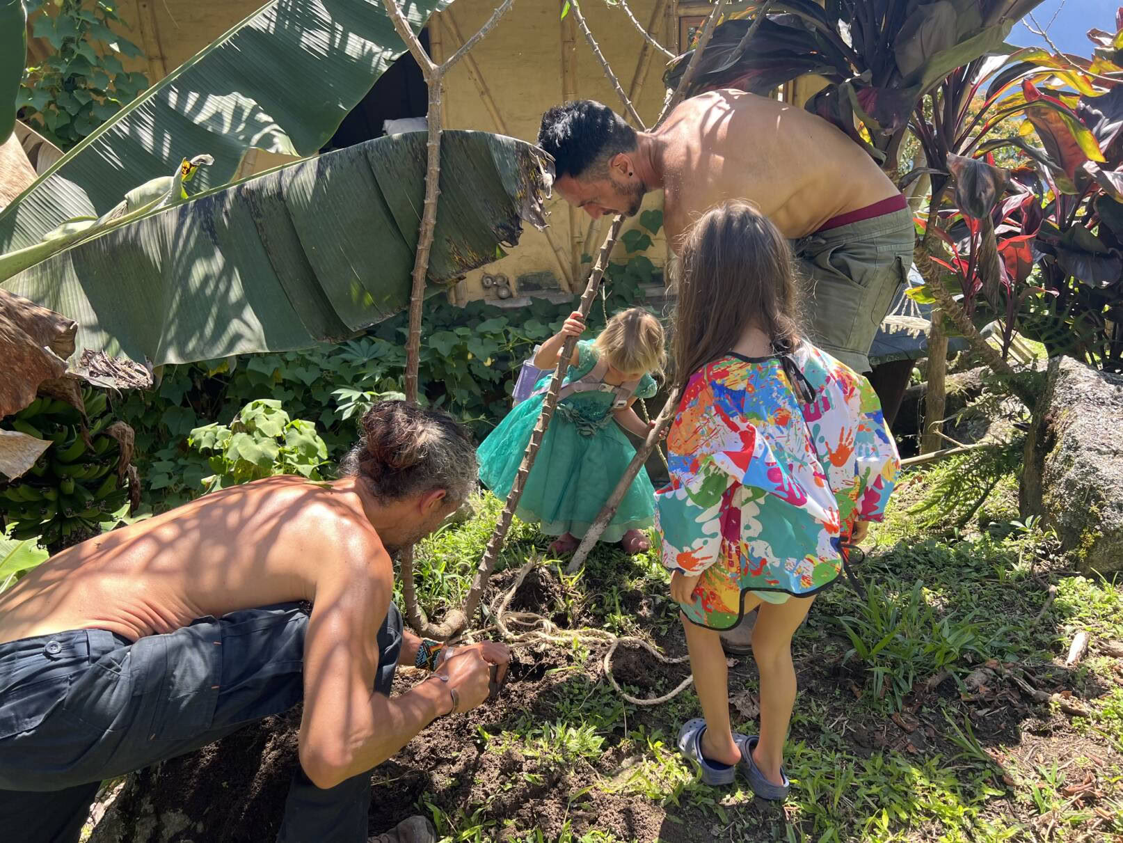Ayahuasca & Voyage Somatique