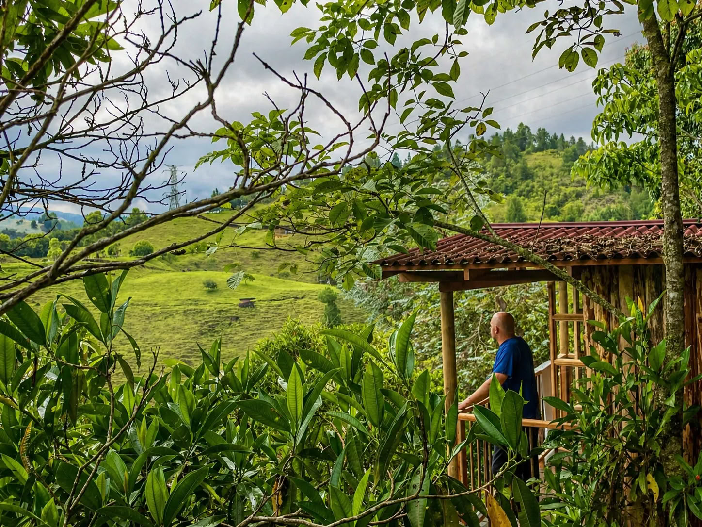 Retraite d’Ayahuasca de décembre 2026 à Medellín