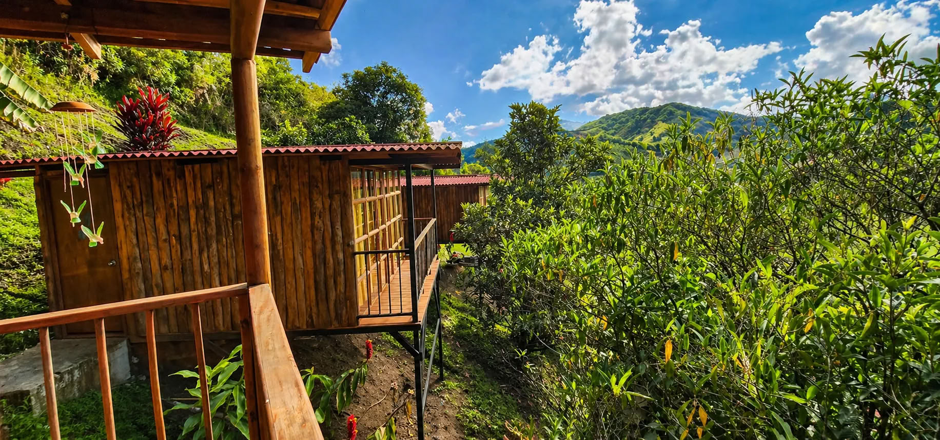 Retraite d'Ayahuasca de juillet 2026 à Medellín