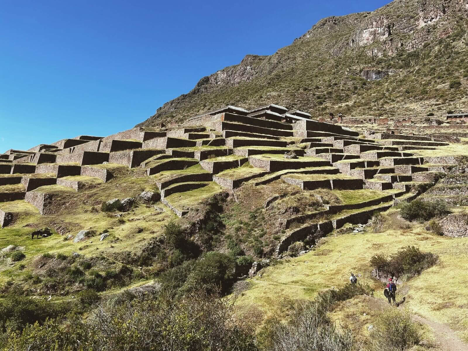 3 jours de trek spirituel à Huchuy Qosqo avec la médecine San Pedro