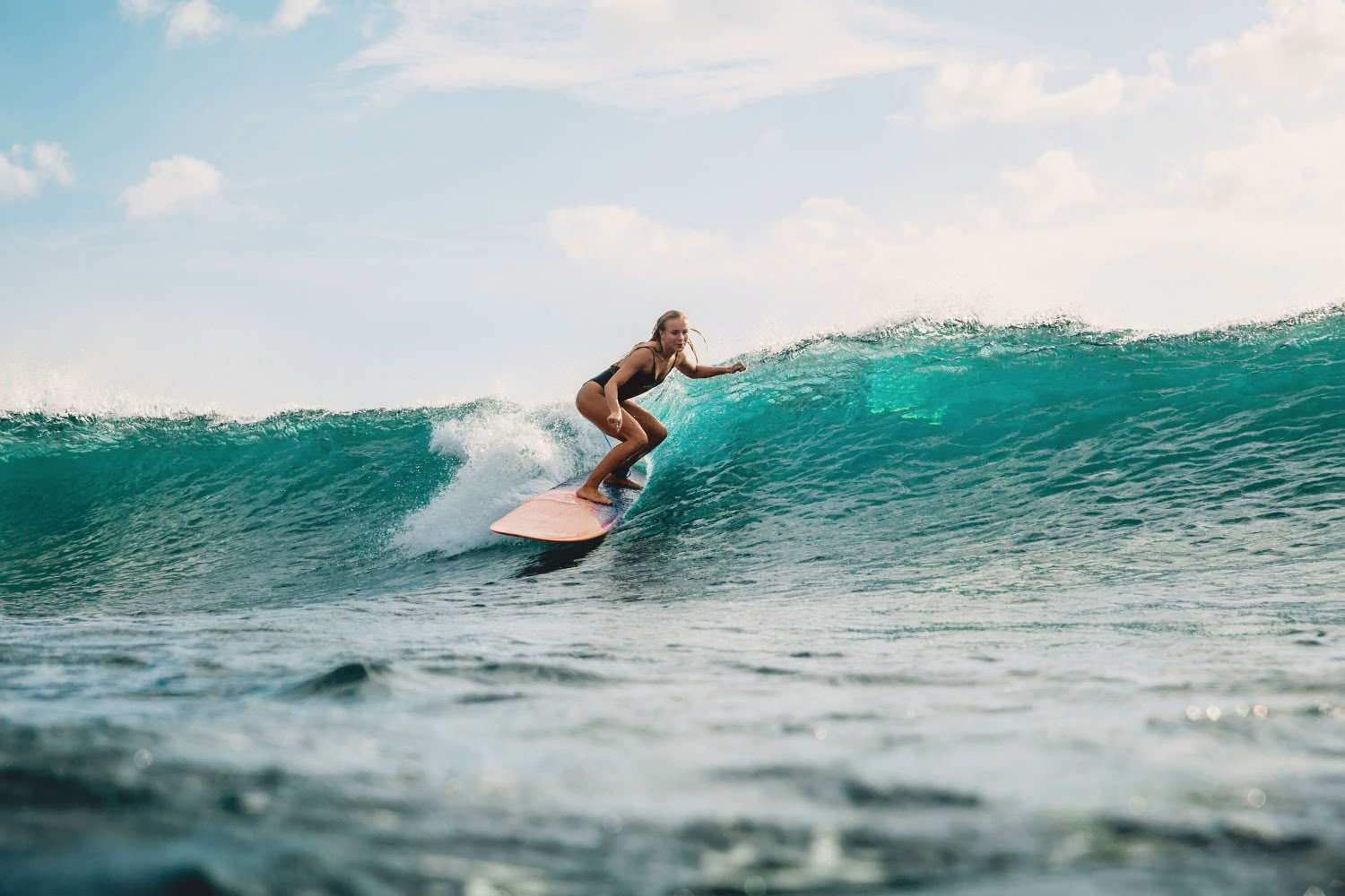 Surf et Fitness