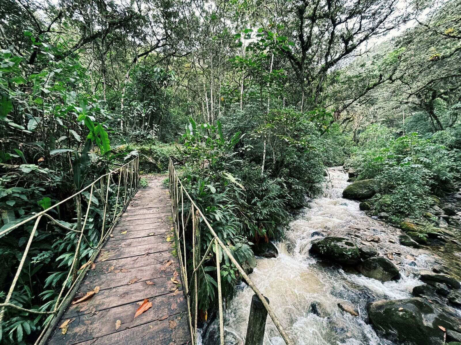 Machu Picchu mystique : voyage avec des moments de pleine conscience (2 jours)