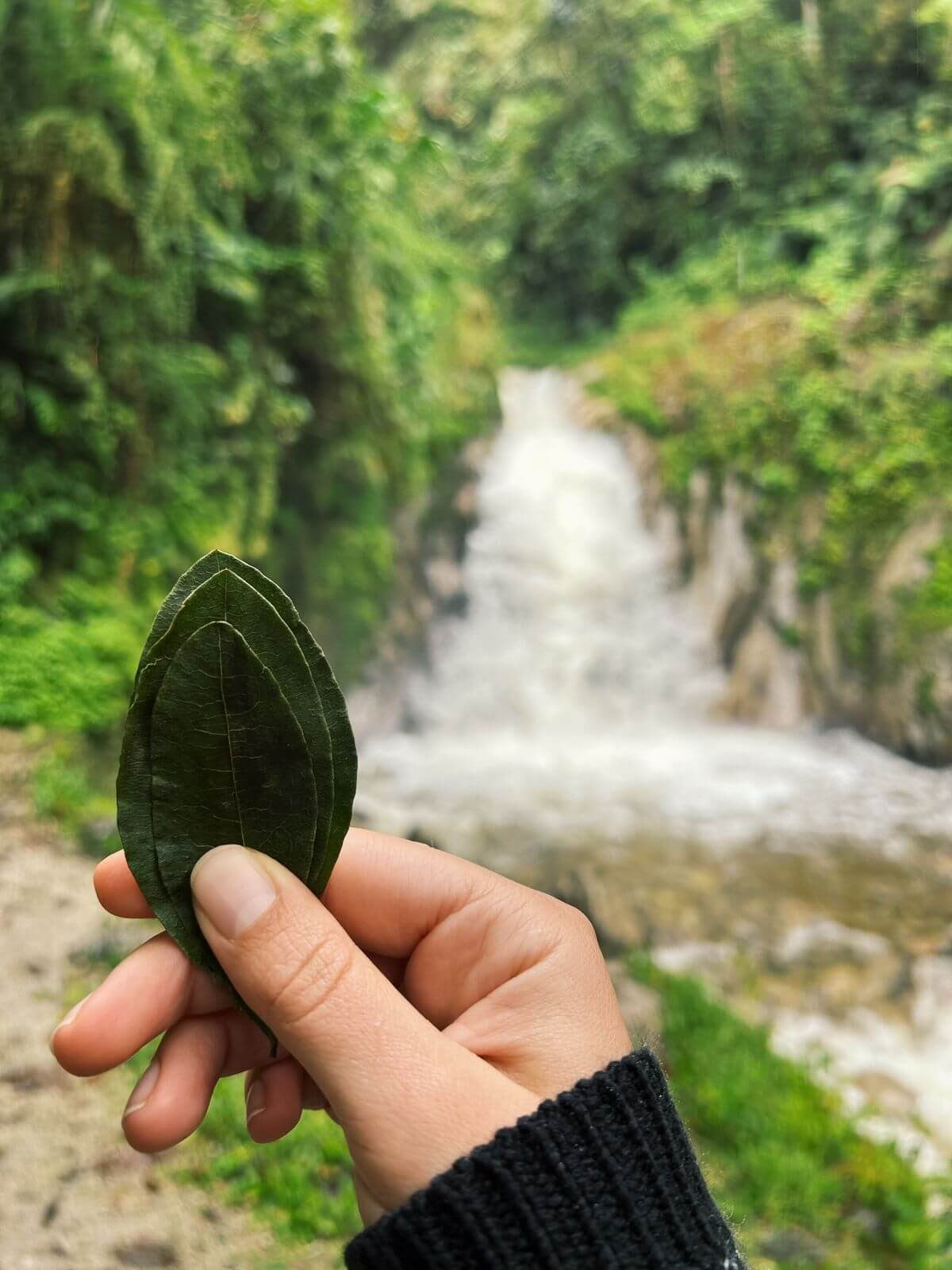 Machu Picchu mystique : voyage avec des moments de pleine conscience (2 jours)