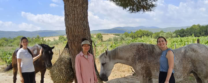Yoga et guérison avec les chevaux : retraite de 5 jours