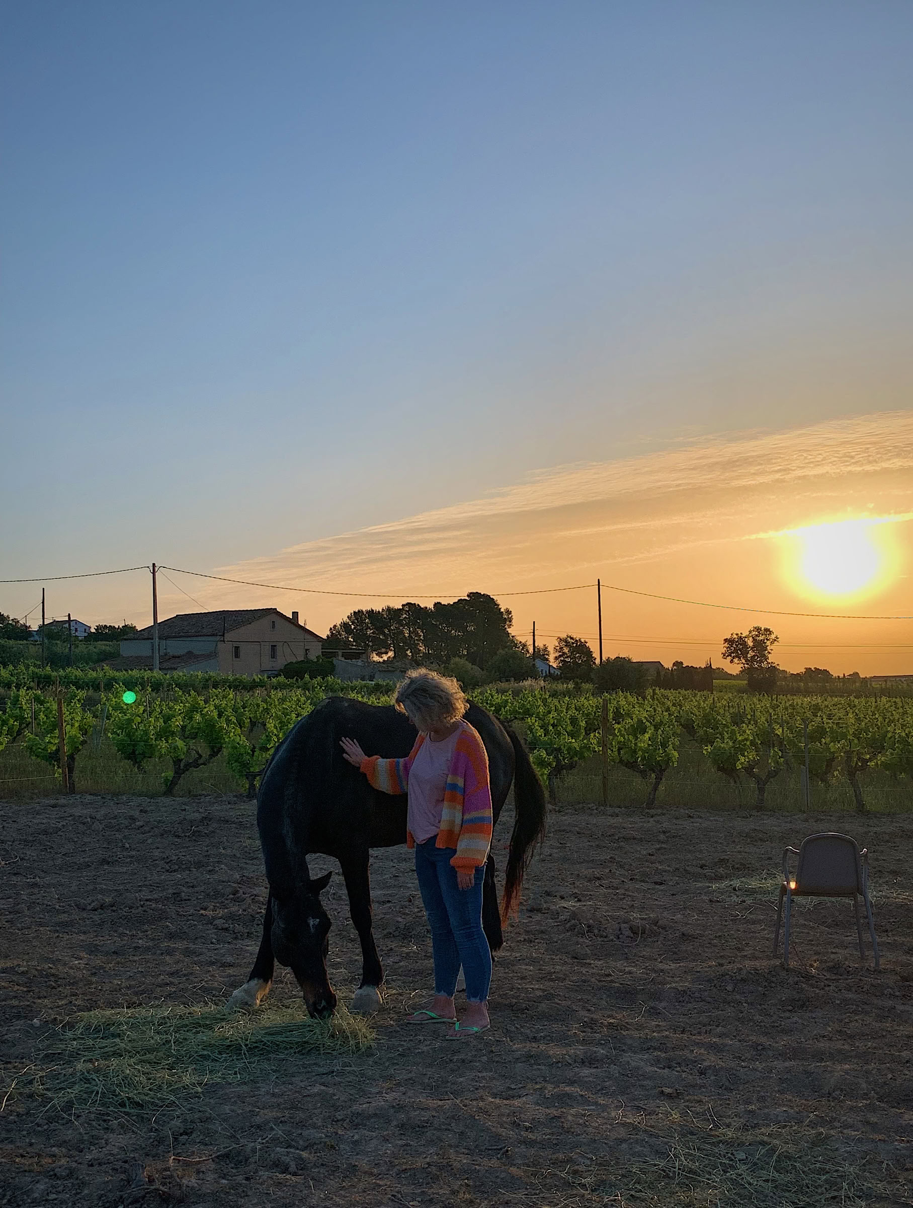 Yoga & guérison avec les chevaux