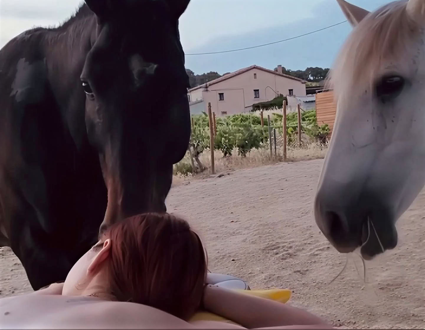 Yoga & guérison avec les chevaux