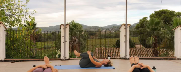 Yoga & guérison avec les chevaux