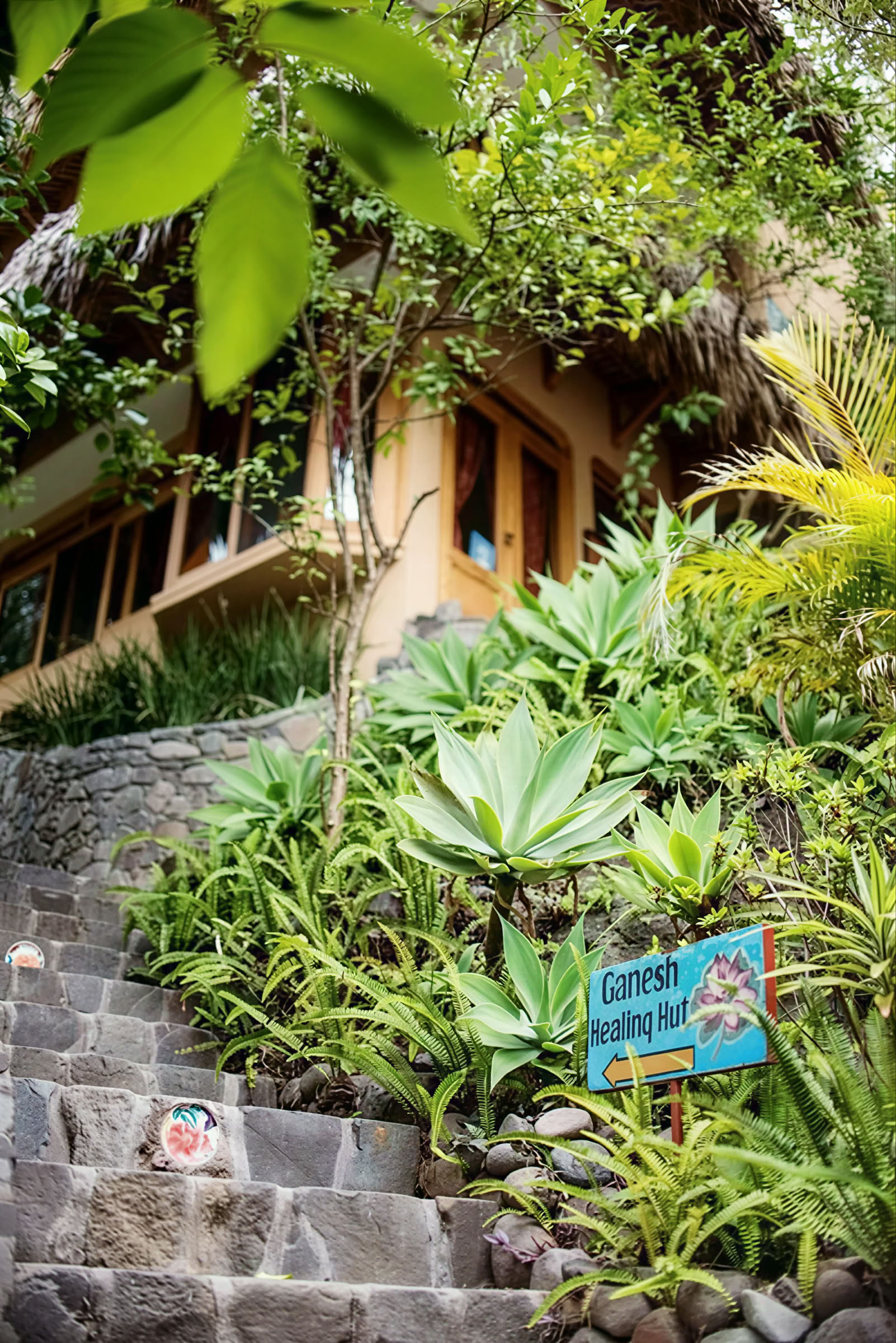 Retraite de yoga de 6 jours au Guatemala – du 12 au 17 juin 2027 avec Michelle Fajkus