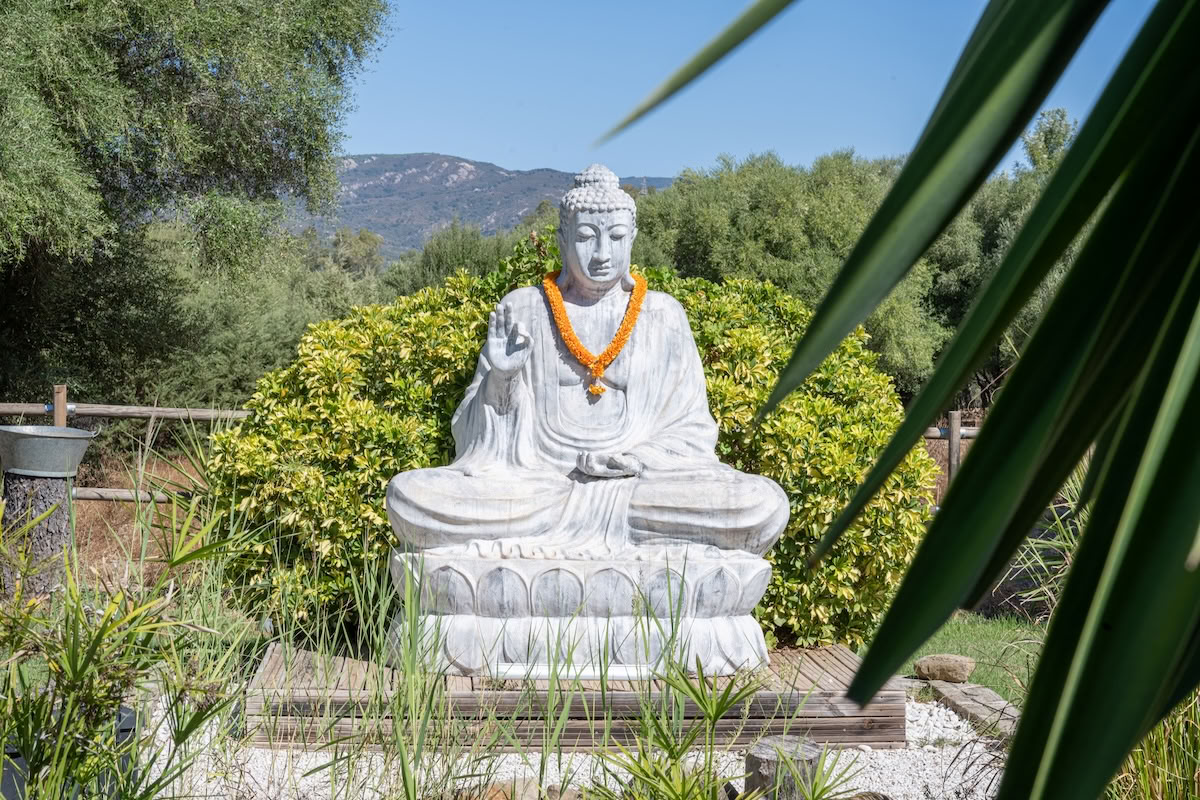 Retraite Heartspacee & Soulalchemy