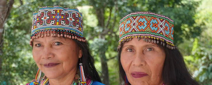 8 jours | 7 nuits immersion Shipibo à l’ayahuasca informée sur les traumatismes