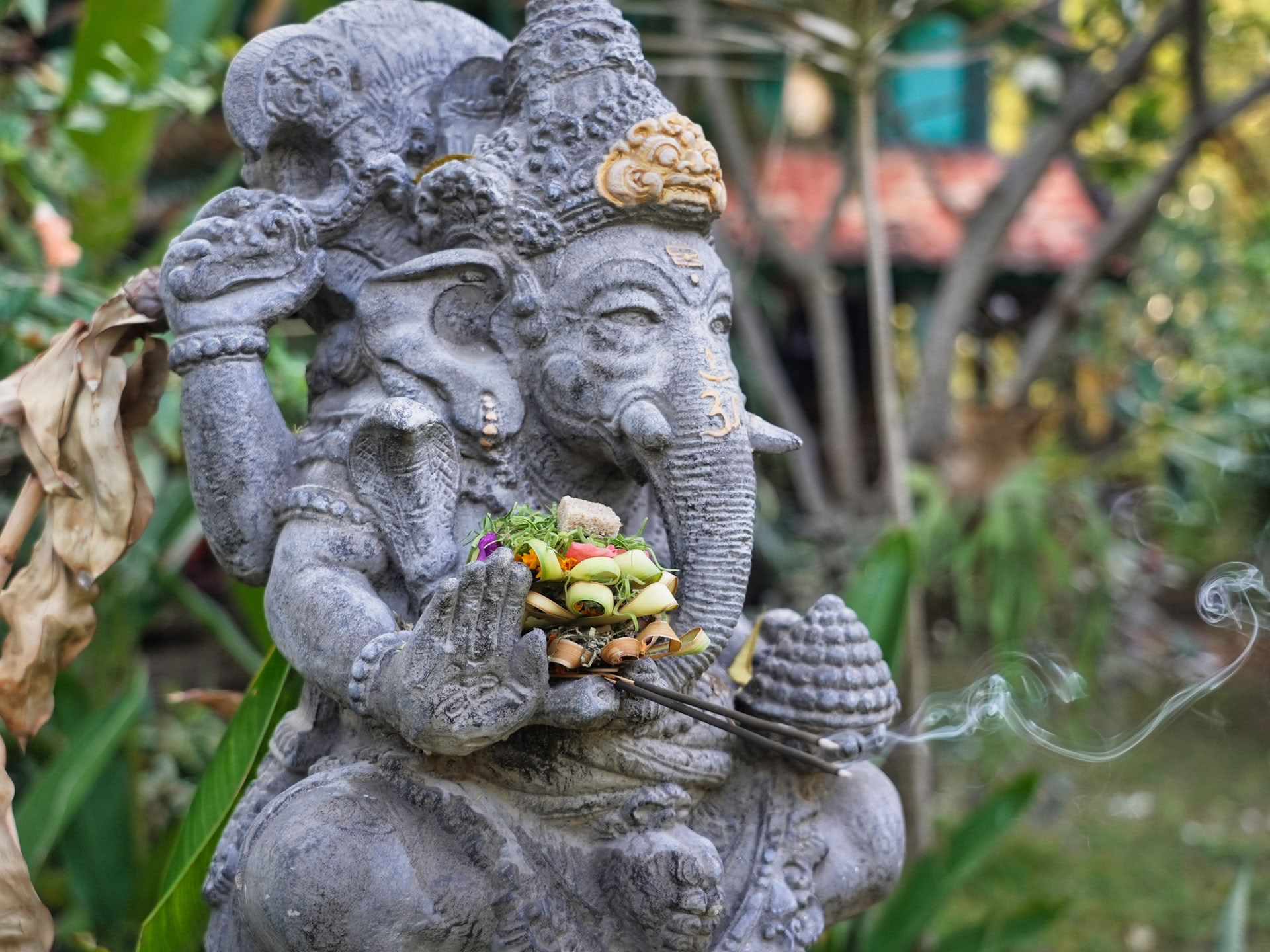 Cours de formation de professeur de yoga (TTC)