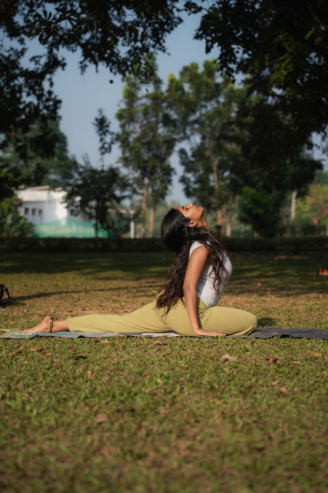 Retraite Regenerative Reset