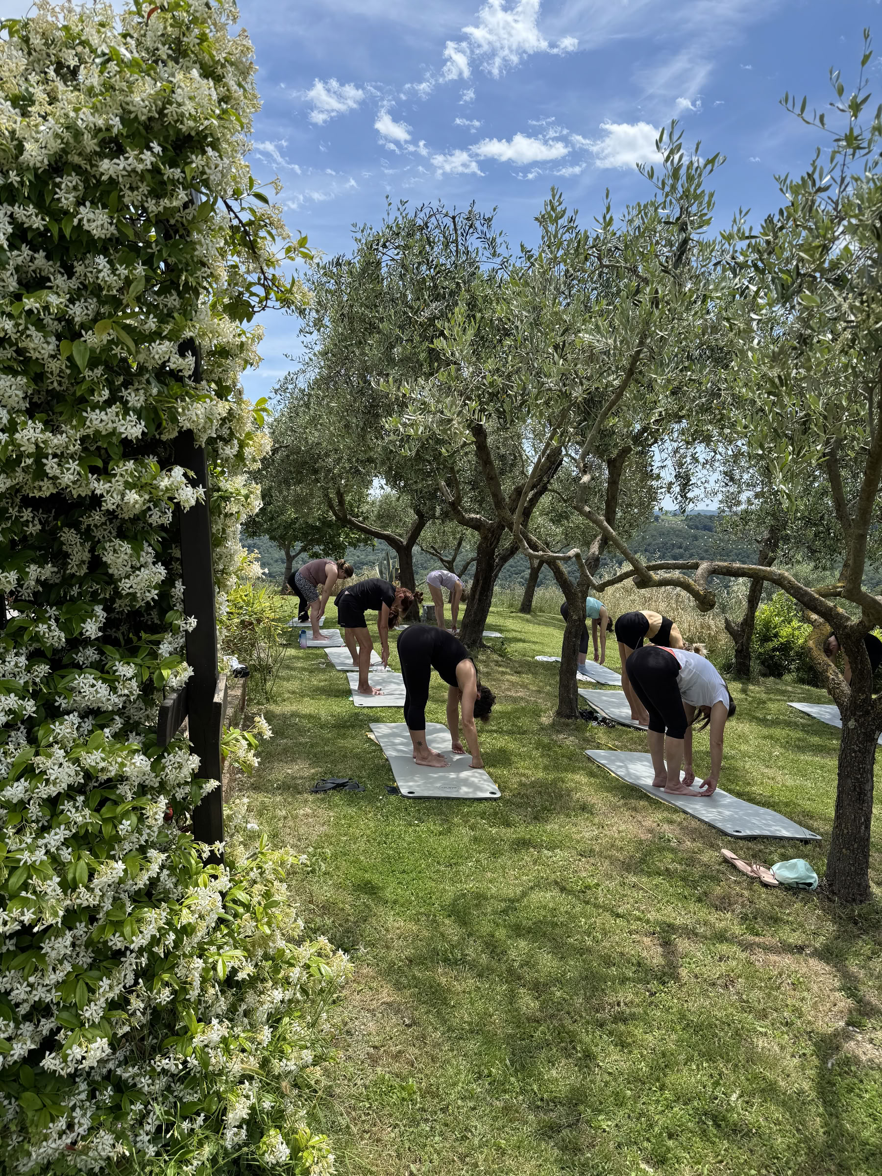 Creating Alignment | Retraite In Body and Mind